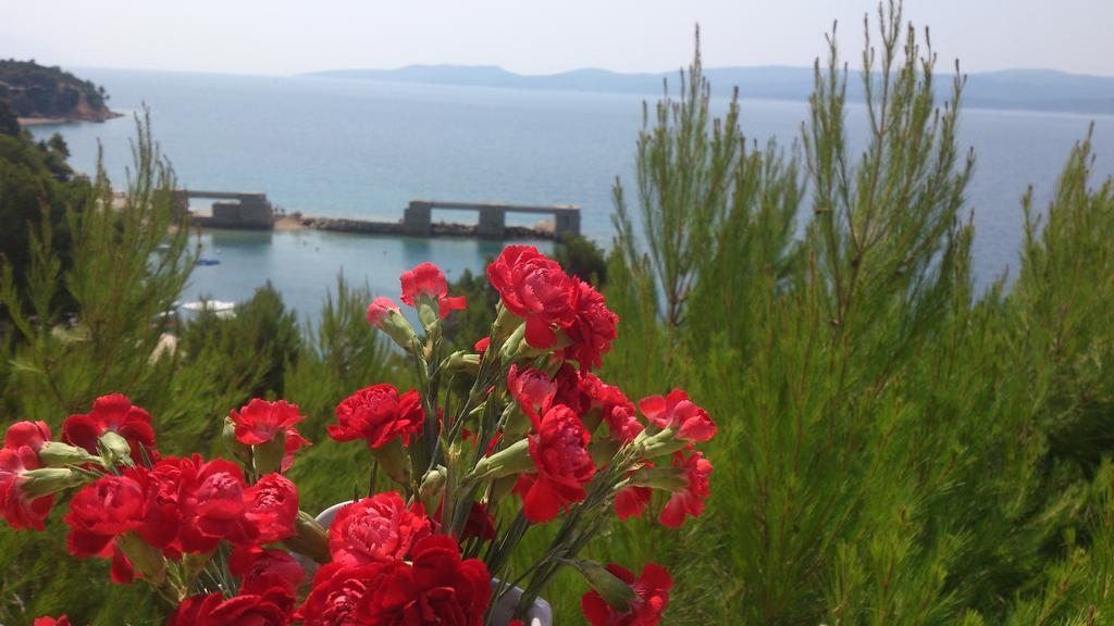 Apartmani Sea View Lokva Rogoznica Camera foto